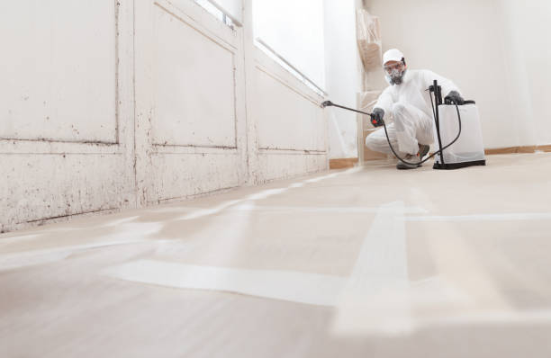 24/7 Emergency Basement Mold Remediation experts in Gloucester City, NJ